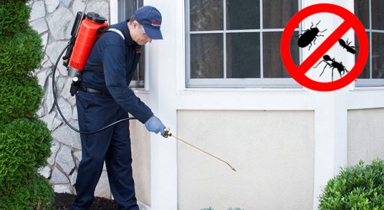 Tekman Kemirgen İlaçlama böcek ilaçlama ve haşere kontrolü — ilaclama-tr.com